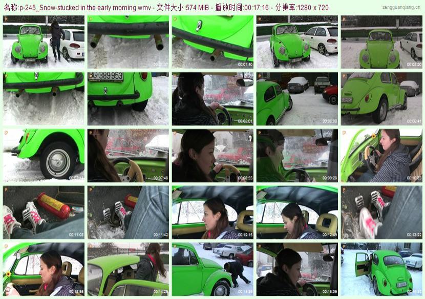 p-245_Snow